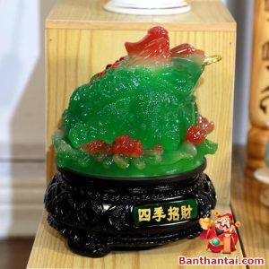 Thiềm Thừ - Cóc ngậm vàng