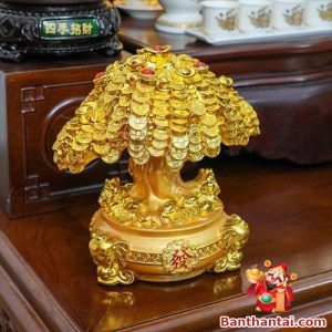 Cây Kim Tiền Vàng, Cao 22cm