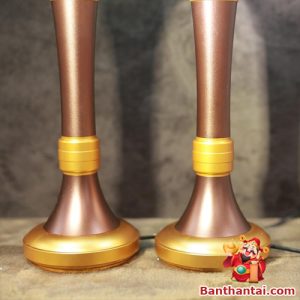 Đôi đèn cầu pha lê hoa sen in chìm dttt-007