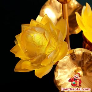 Cánh sen mờ đục tinh xảo, tỏa ánh sáng đều và nhẹ nhàng