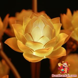Cánh sen lớn, khắc chi tiết rõ nét, phát sáng vàng ấm mang vẻ thanh tịnh