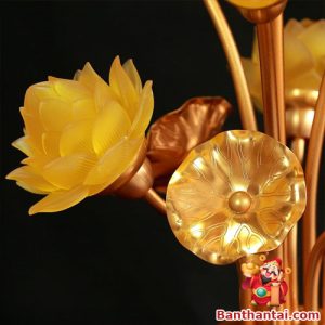 Góc nhìn cận cảnh kết hợp hoa và đài sen, nổi bật đường nét nghệ thuật