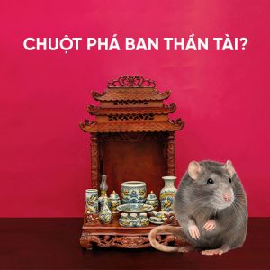 Dưới đây là những bước xử lý khi ban Thần Tài bị chuột phá