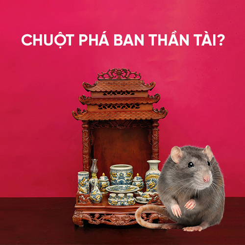 Dưới đây là những bước xử lý khi ban Thần Tài bị chuột phá